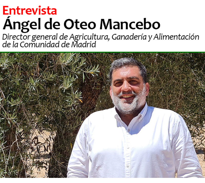 Entrevista a Angel de Oteo