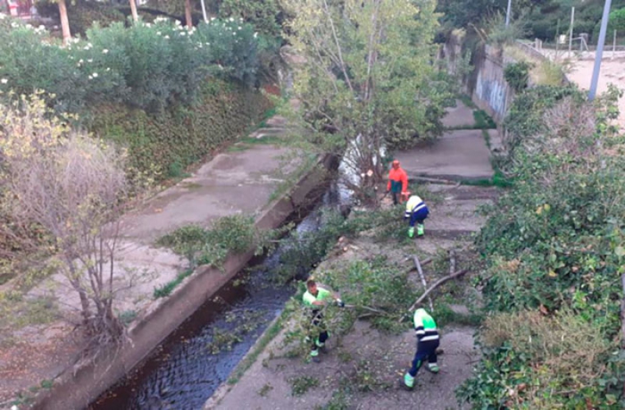 Collado Villalba | El área de Medio Ambiente procede a la retirada de árboles en el cauce del río Guadarrama para prevenir inundaciones