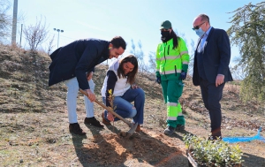 Arroyomolinos | Arroyomolinos incrementará sus zonas verdes con 7.500 nuevos árboles y arbustos en los próximos 4 años