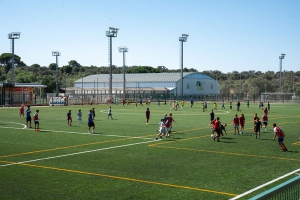 Boadilla del Monte | Boadilla anota cifras récord de participación en las actividades deportivas municipales