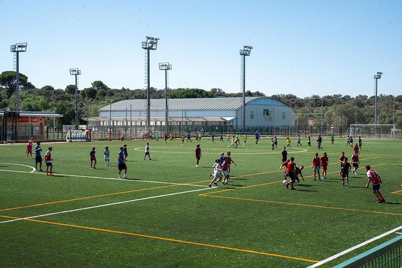 Boadilla del Monte | Boadilla anota cifras récord de participación en las actividades deportivas municipales