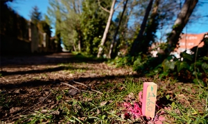 Las Rozas | El entorno del arroyo de Perales renueva sus infraestructuras y equipamientos