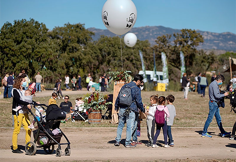 Las Rozas | Entra en vigor la rebaja de impuestos a familias numerosas, sostenibilidad y creación de empleo