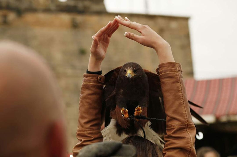 Alpedrete | Alpedrete viajó al medievo con la celebración de un espectacular mercado medieval