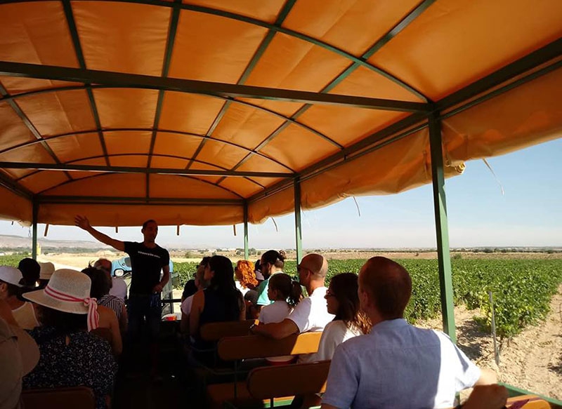 Visita a la bodega y al viñedo en carriola, en la Vinícola de Arganda