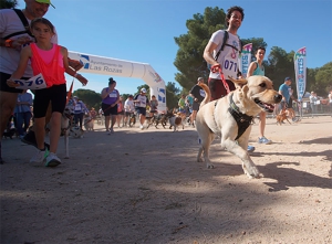 Las Rozas | CaniCross reunirá este domingo a más de 100 perros con sus dueños