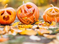 Las Rozas | Halloween, cine, música y gastronomía, entre las propuestas para el fin de semana