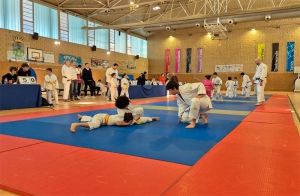 Villanueva de la Cañada | Alta participación en los campeonatos de judo y natación del C.D. Santiago Apóstol