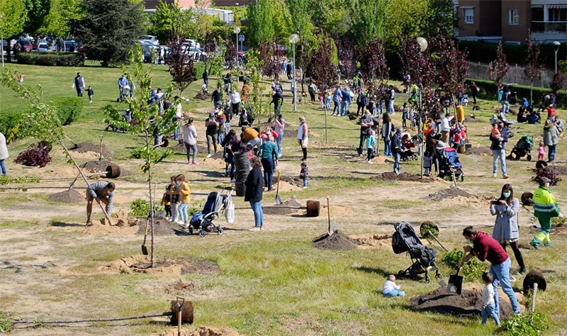 Boadilla del Monte |  Plantación familiar de árboles el próximo día 20 de noviembre