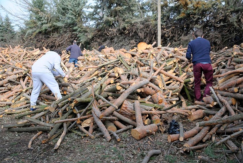 Boadilla del Monte | Abierta la inscripción hasta el próximo día 14 para recoger leña