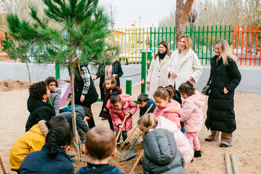 Pozuelo de Alarcón | El Ayuntamiento planta 30 árboles en los colegios Infanta Elena y Pinar Prados de Torrejón