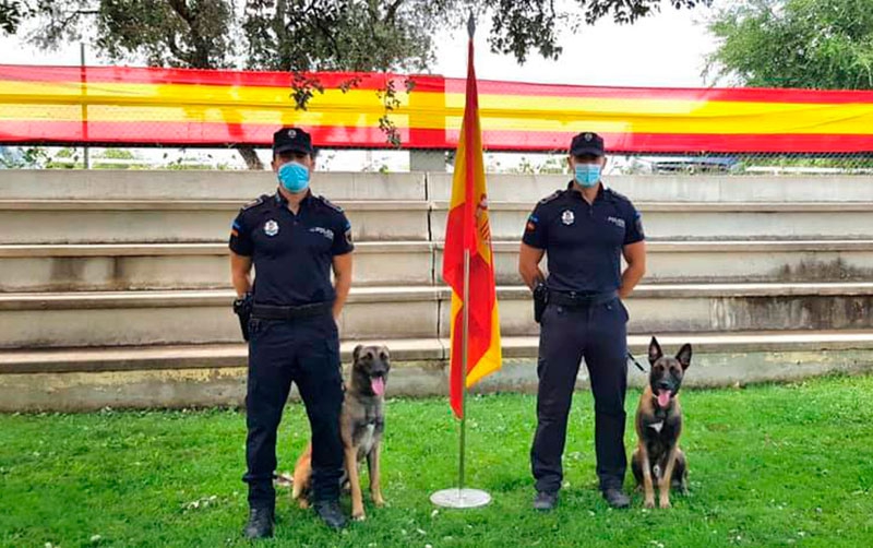 Arroyomolinos | Exitosa labor de la Unidad Canina de la Policía Local en el primer mes de trabajo