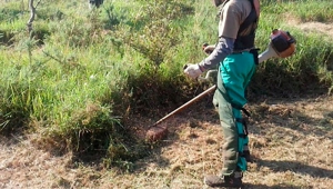 Cenicientos | El Ayuntamiento de Cenicientos oferta diez puestos de jardineros dentro del Programa de empleo juvenil