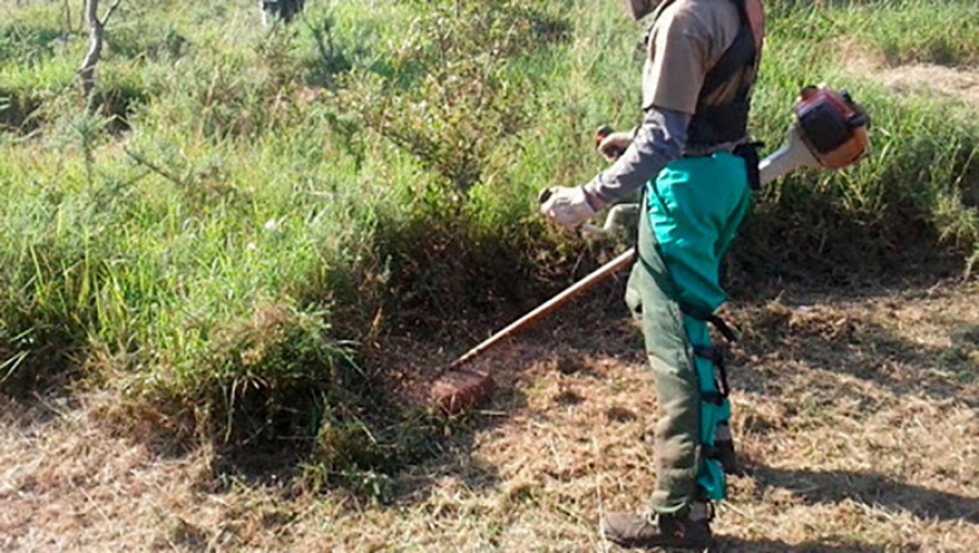 Cenicientos | El Ayuntamiento de Cenicientos oferta diez puestos de jardineros dentro del Programa de empleo juvenil