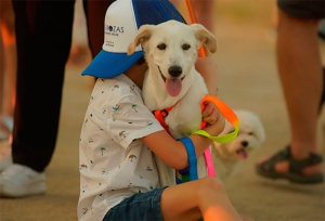 Las Rozas | CaniCross Las Rozas, una carrera no competitiva en la que podrán participar los perros con sus dueños