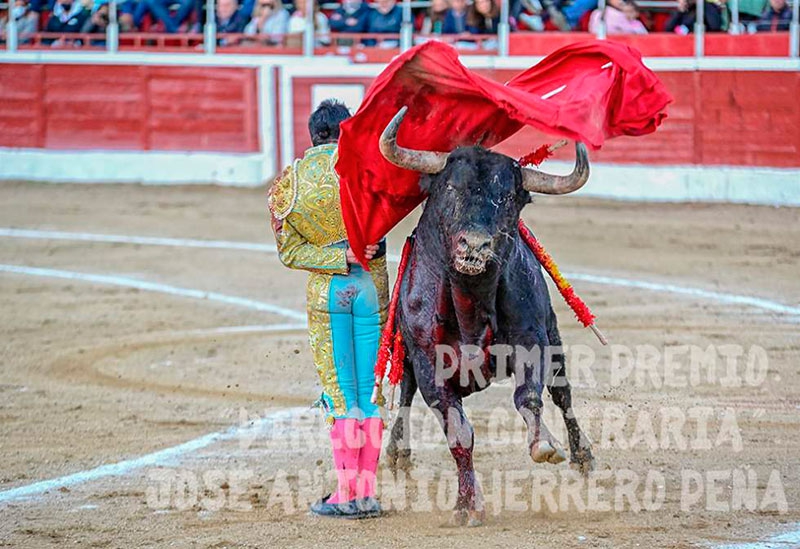 Guadarrama | El lunes comienza la exposición del Concurso de Fotografía Taurina