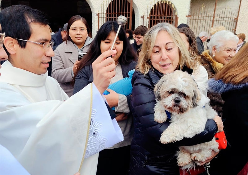 Aldea del Fresno | Aldea del Fresno celebró su tradicional Fiesta de San Antón