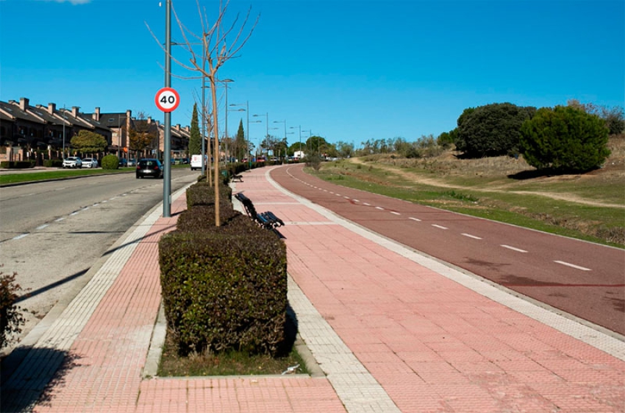 Boadilla del Monte | En marcha la sustitución de los árboles afectados por las tormentas en la calle Miguel Ángel Cantero Oliva