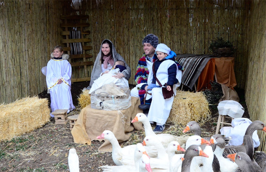 Boadilla del Monte | El Belén viviente y la llegada de las ovejas marcarán la jornada navideña en La Milagrosa el próximo domingo
