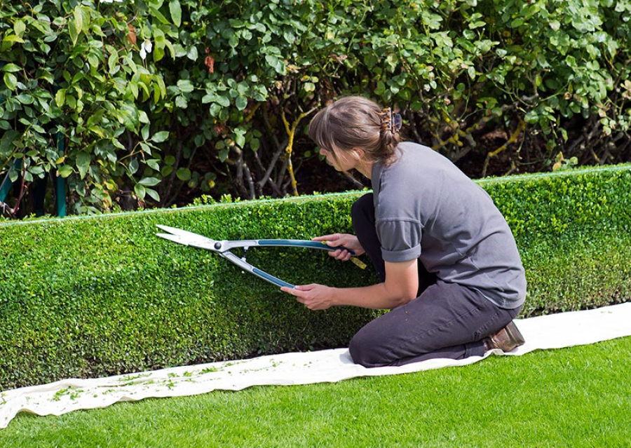 Humanes de Madrid | 20 desempleados de larga duración trabajarán como peones de jardinería y barrenderos