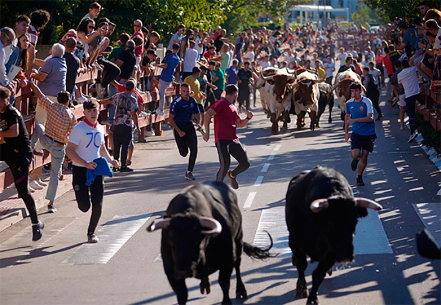 Las Rozas | Las Fiestas de San Miguel, protagonistas del primer fin de semana de octubre