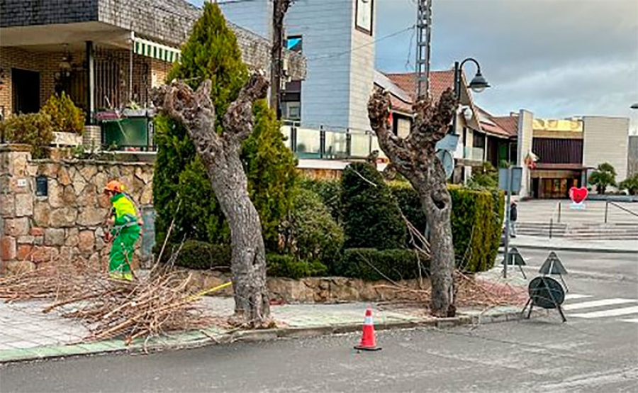 Galapagar | Galapagar intensifica las labores de desbroce y cuidado de zonas verdes