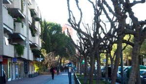 Pozuelo de Alarcón | El Ayuntamiento de Pozuelo anima a comprar los regalos de San Valentín en los comercios de la ciudad