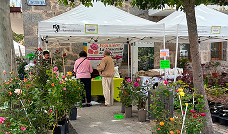 Torrelodones | Torrelodones, al más puro estilo castizo y floral