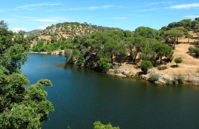 La Sierra Oeste de Madrid, nueva sede del encuentro natureWatch Madrid que este año celebra su quinta edición del 25 al 27 de noviembre