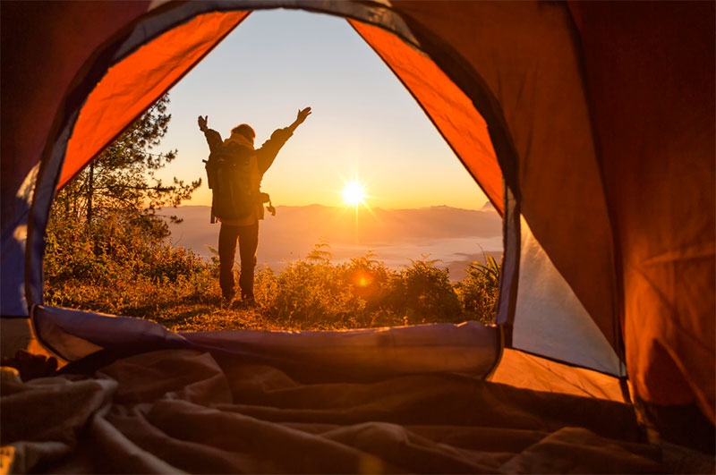 Alpedrete | Curso «Juegos y actividades en la Naturaleza»