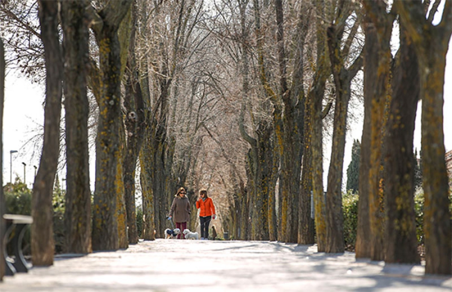 Las Rozas | Las Rozas dará ayudas de 250 euros al alquiler para jóvenes, mayores, rentas bajas y desempleados