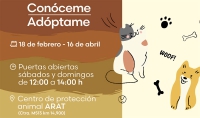 Boadilla del Monte | Boadilla apoya la iniciativa #ConócemeyAdóptame, para la adopción de animales abandonados