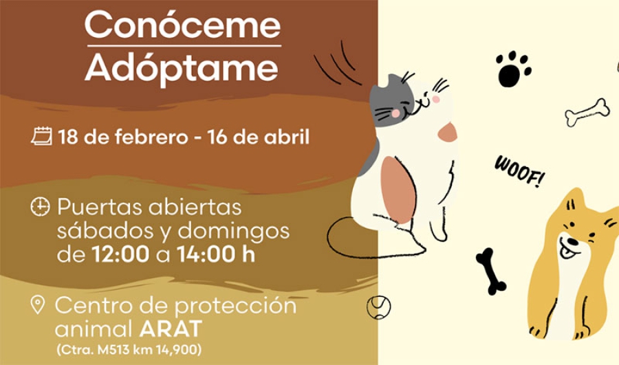 Boadilla del Monte | Boadilla apoya la iniciativa #ConócemeyAdóptame, para la adopción de animales abandonados