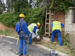Sevilla la Nueva | Avanzan los trabajos para la retirada de torretas en la urbanización El Hórreo