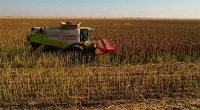 MEDIO AMBIENTE | La Comunidad de Madrid cumple con todas las ayudas que activó para paliar los efectos de Filomena en el sector agrario