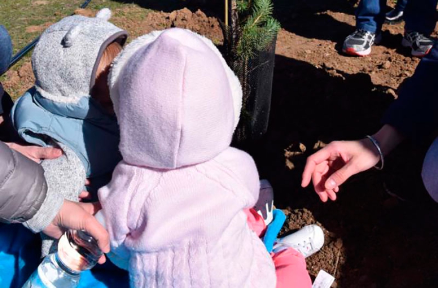 Villaviciosa de Odón | Este domingo los niños y niñas nacidos en 2019 tendrán un árbol identificado con su nombre