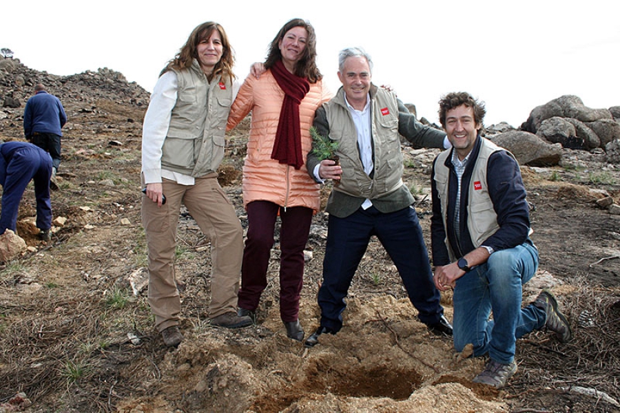 Collado Mediano | El director General de Biodiversidad de la CAM y la alcaldesa, supervisaron las labores de limpieza y repoblación del Cerro del Castillo