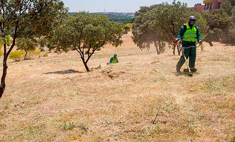 Boadilla del Monte | Boadilla recuerda la obligación de limpiar y desbrozar los solares y terrenos privados para prevenir incendios