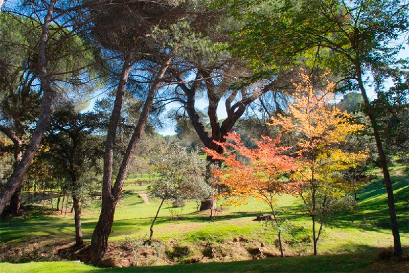 Majadahonda | El Ayuntamiento integra el Patronato del Monte del Pilar en el servicio de Medio Ambiente de Majadahonda