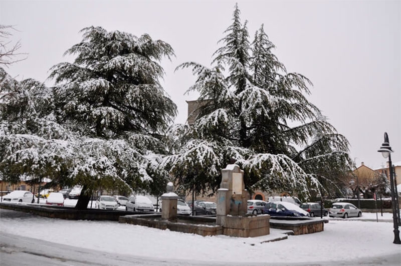 Moralzarzal | El Ayuntamiento reparte sacos de sal gratis en previsión de heladas en invierno