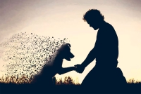 MUNDO ANIMAL | Ladridos desde el cielo