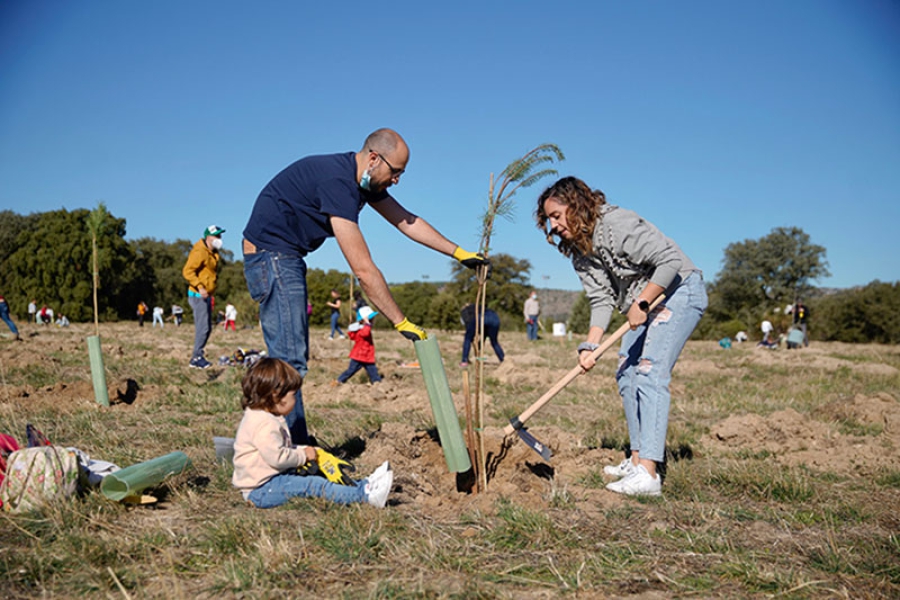 Las Rozas | Más de 3.500 vecinos participaron en la gran plantación familiar