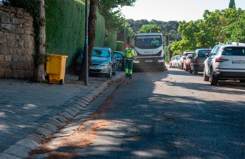 Boadilla del Monte | El Ayuntamiento refuerza los trabajos de barrido de pinocha en las urbanizaciones históricas