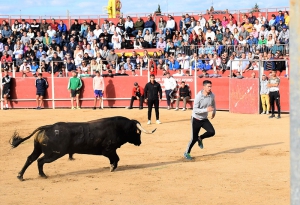 Villaviciosa de Odón | Villaviciosa de Odón se prepara para vivir un intenso programa de Fiestas entre los días 15 y 24 de septiembre