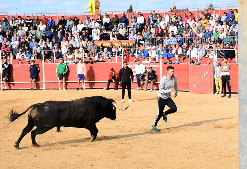 Villaviciosa de Odón | Villaviciosa de Odón se prepara para vivir un intenso programa de Fiestas entre los días 15 y 24 de septiembre