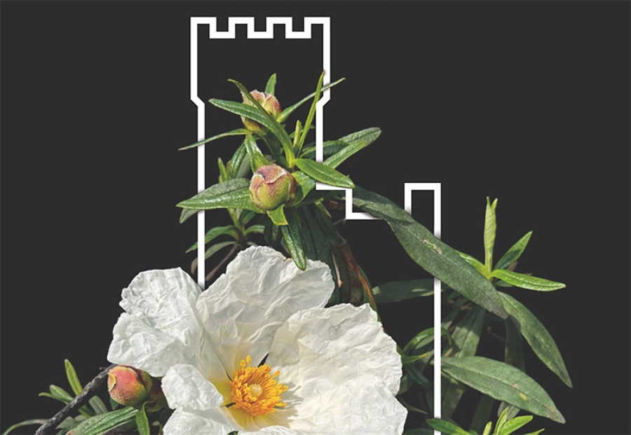 Torrelodones | Torrelodones celebra la II Feria de Plantas y Flores