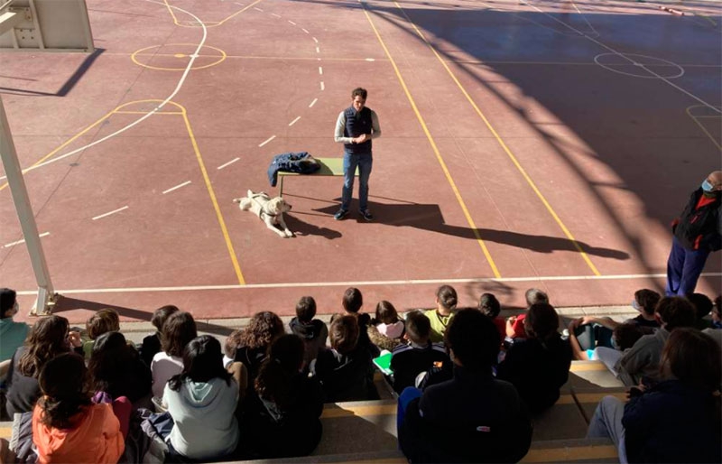 Torrelodones | Programa Motivación y Valores para alumnos de 6º de Primaria