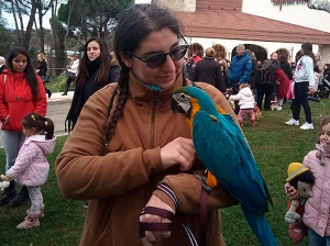 Aldea del Fresno | Gran participación en la celebración de la tradicional Fiesta de San Antón