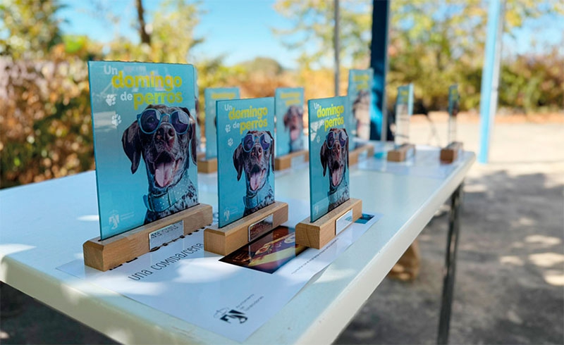 Torrelodones | Cerca de medio centenar de perros compitieron por ser el más guapo, obediente y simpático de Torrelodones
