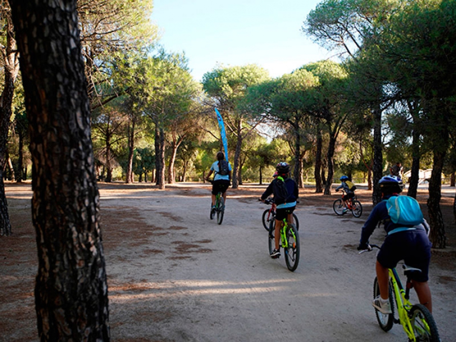 Las Rozas | Las Escuelas Deportivas de exterior retoman su actividad